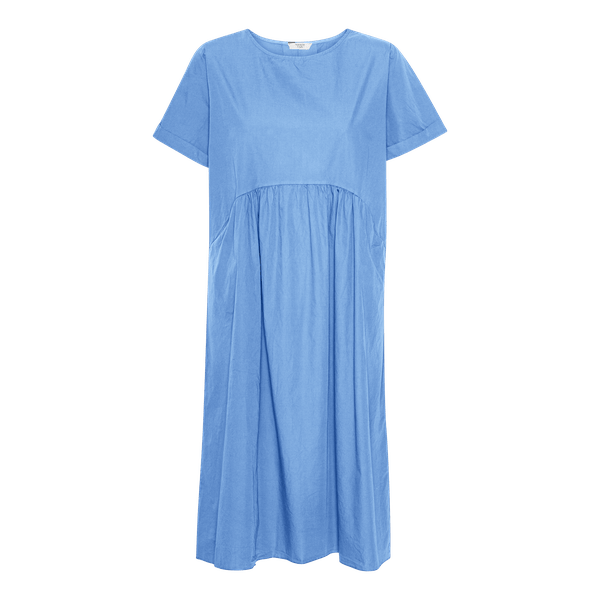 VIOLA - Blue Campione